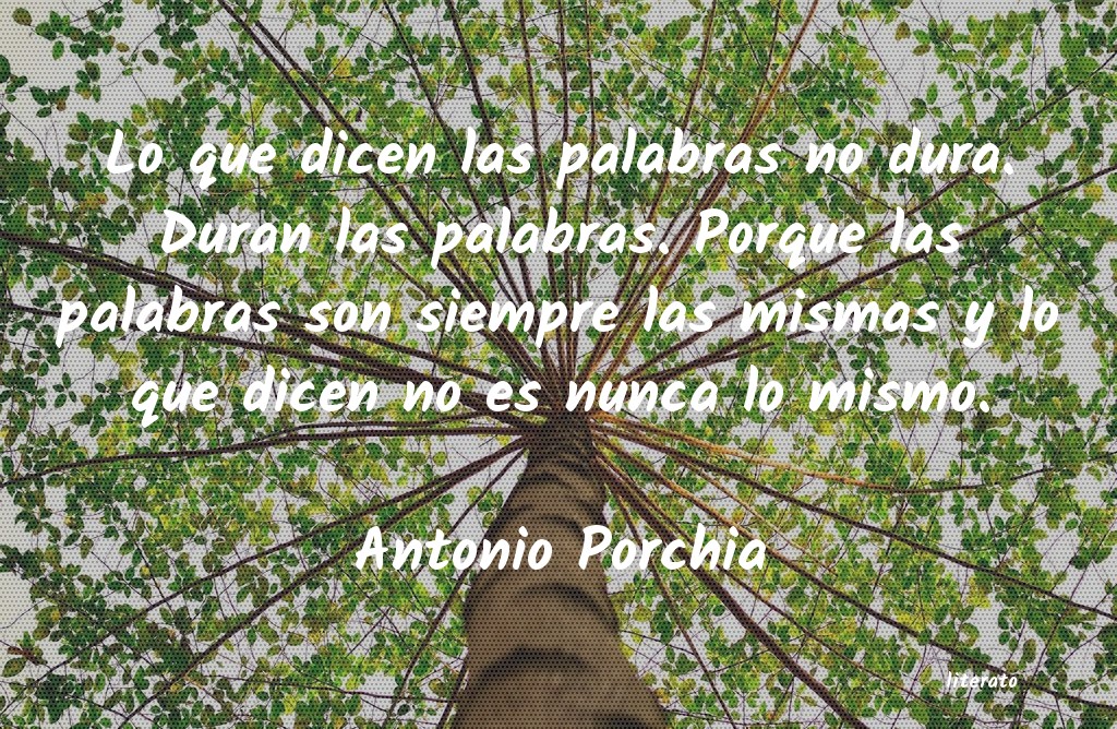 Frases de Antonio Porchia