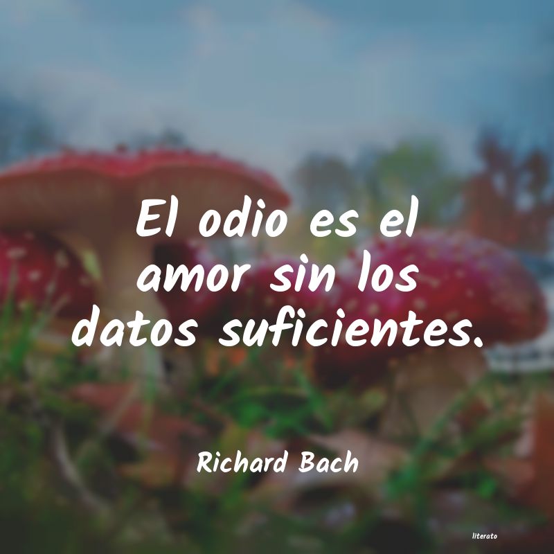 Frases de Richard Bach