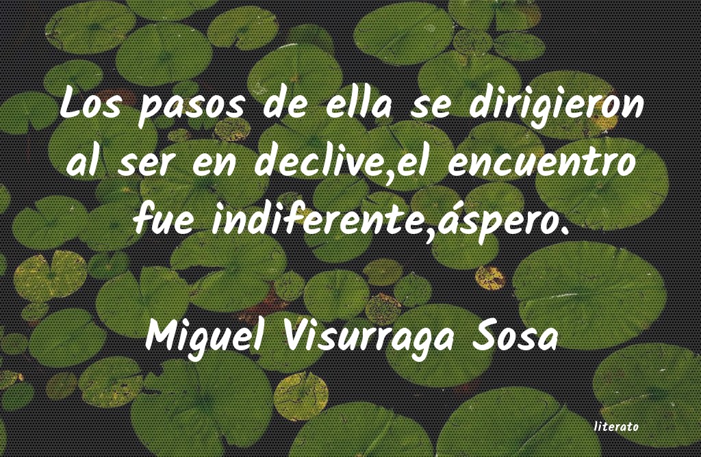 frases de Miguel Visurraga Sosa