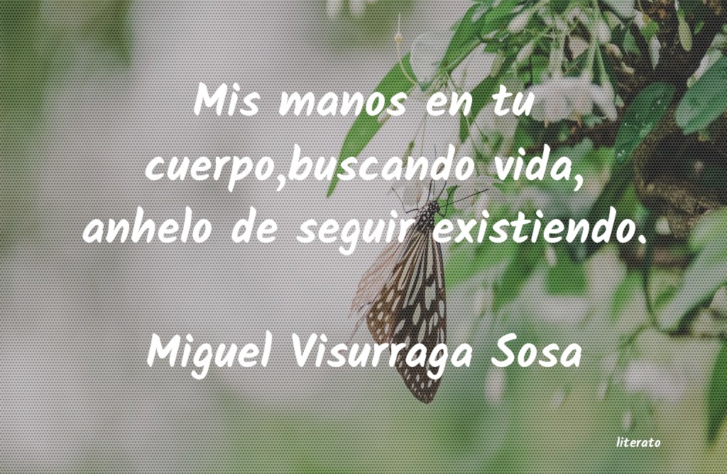 Frases de Miguel Visurraga Sosa