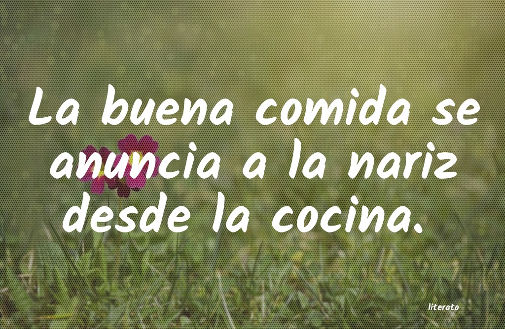 comida