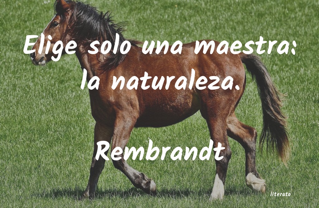 Frases de Rembrandt