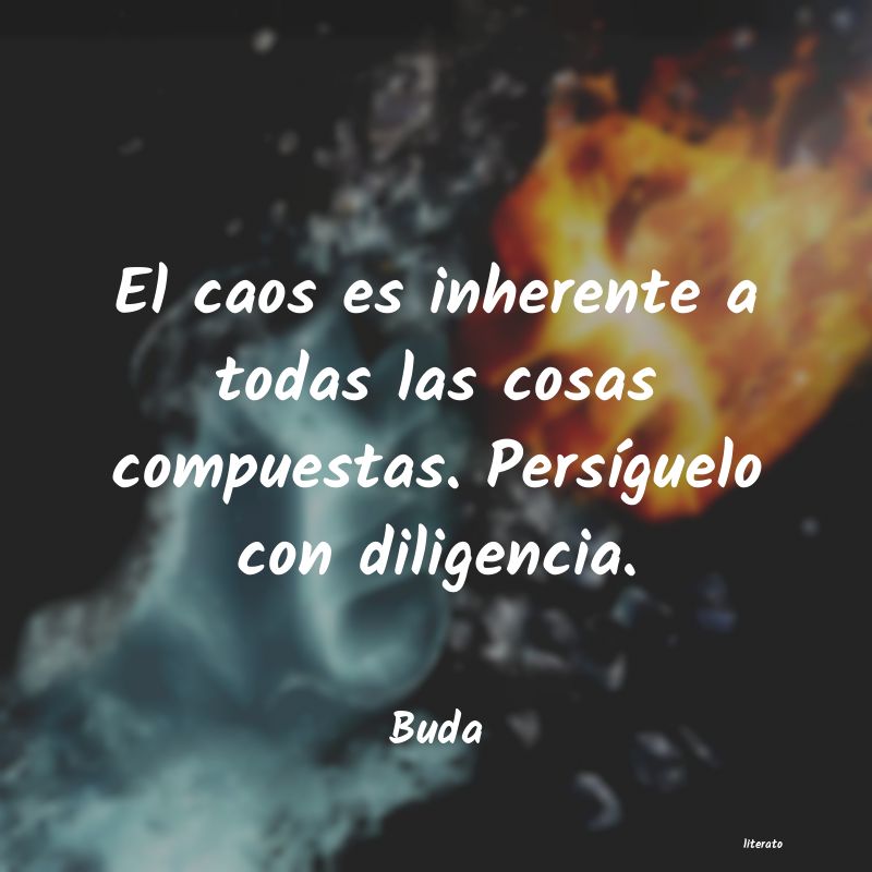 Frases de Buda