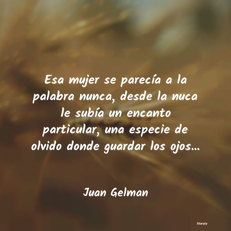 Frases de Juan Gelman