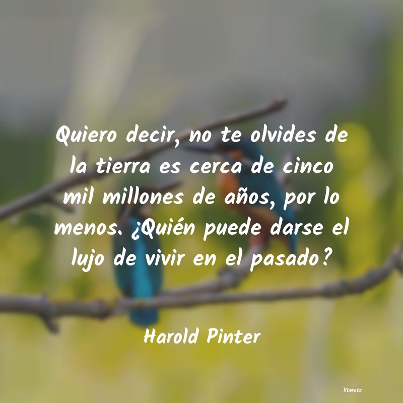 Frases de Harold Pinter