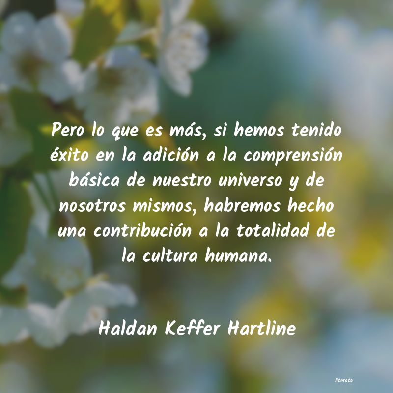Frases de Haldan Keffer Hartline