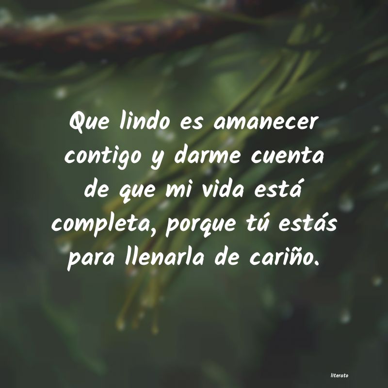 frases
