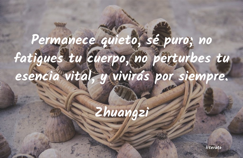 frases de Zhuangzi