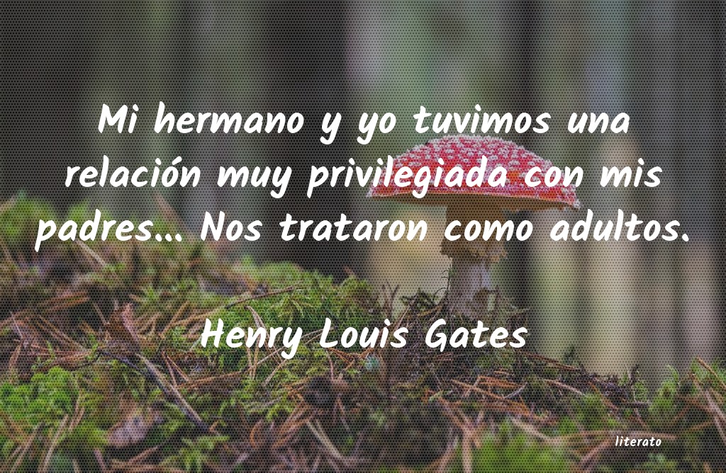 Frases de Henry Louis Gates