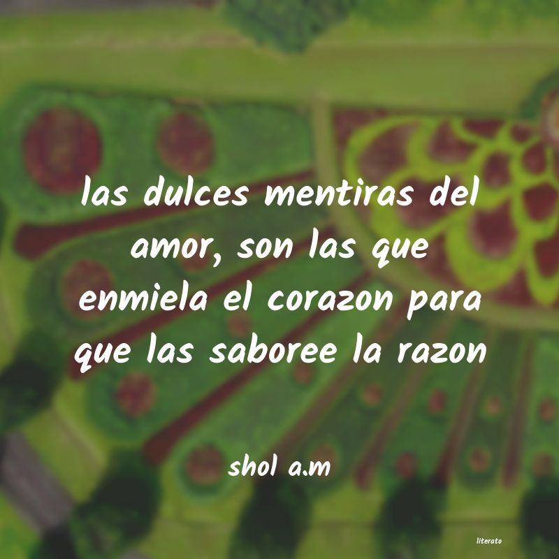 Frases de shol a.m