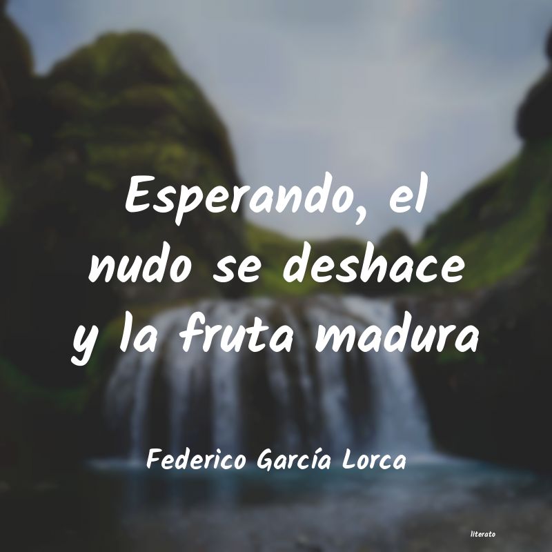 frases de Federico GarcÃa Lorca