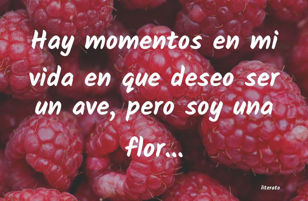 frases