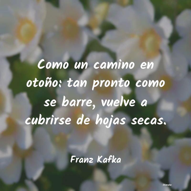 frases de Franz Kafka