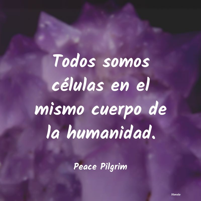 frases de Peace Pilgrim