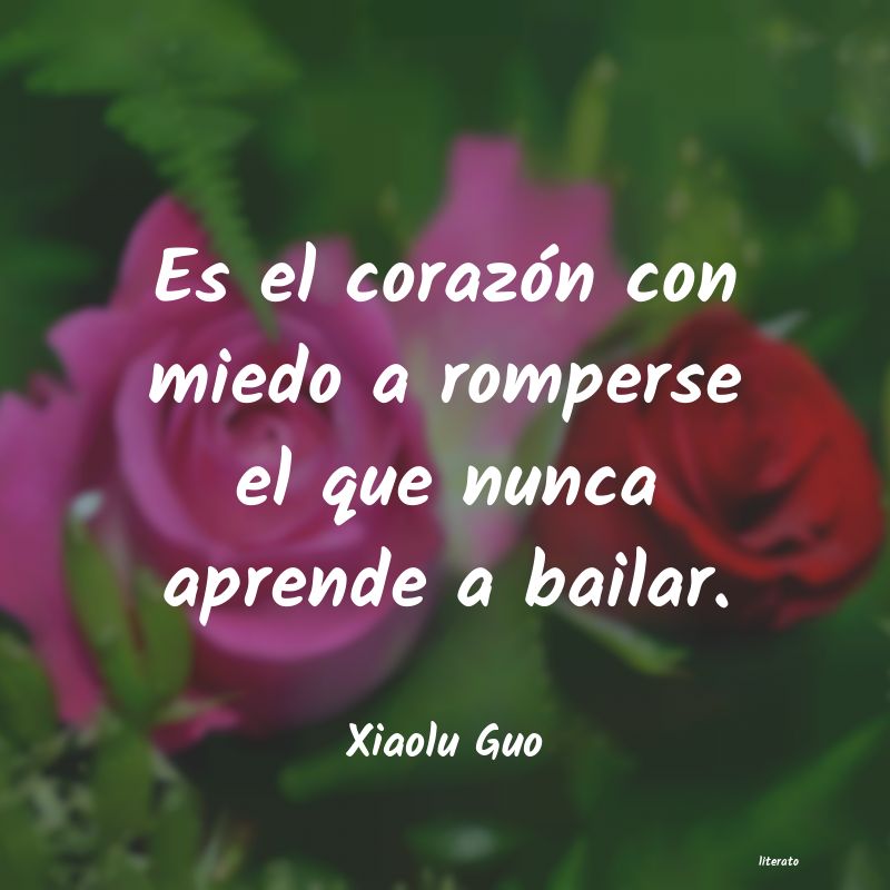 Frases de Xiaolu Guo