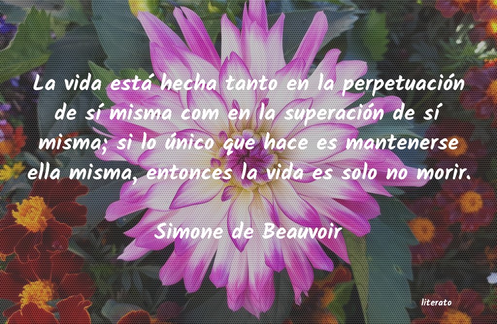 Frases de Simone de Beauvoir