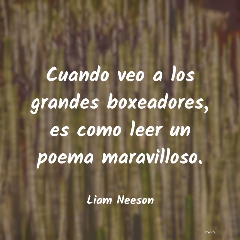 Frases de Liam Neeson