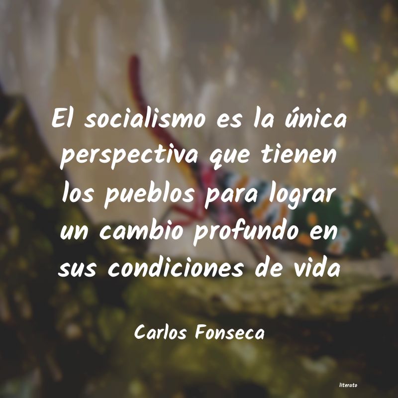 frases de Carlos Fonseca