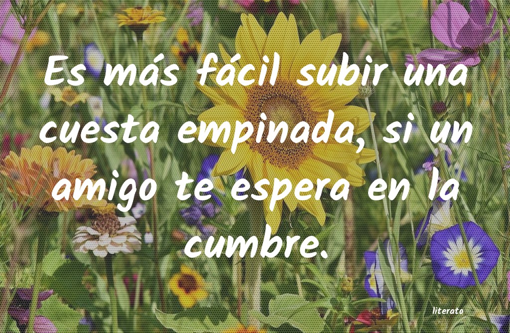 frases