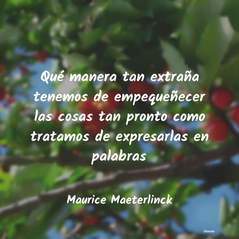 Frases de Maurice Maeterlinck