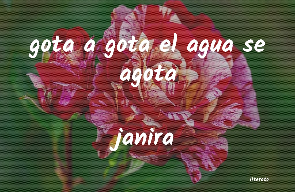 Frases de janira