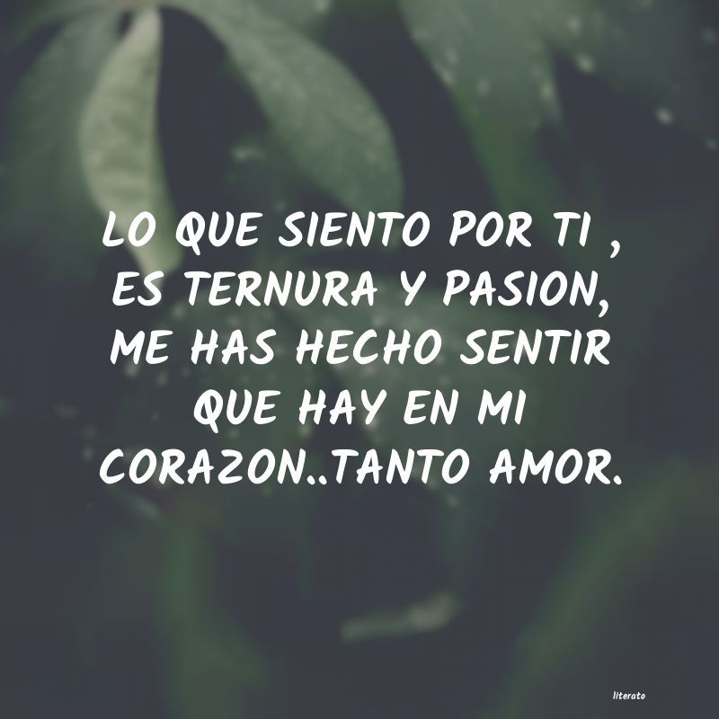 frases