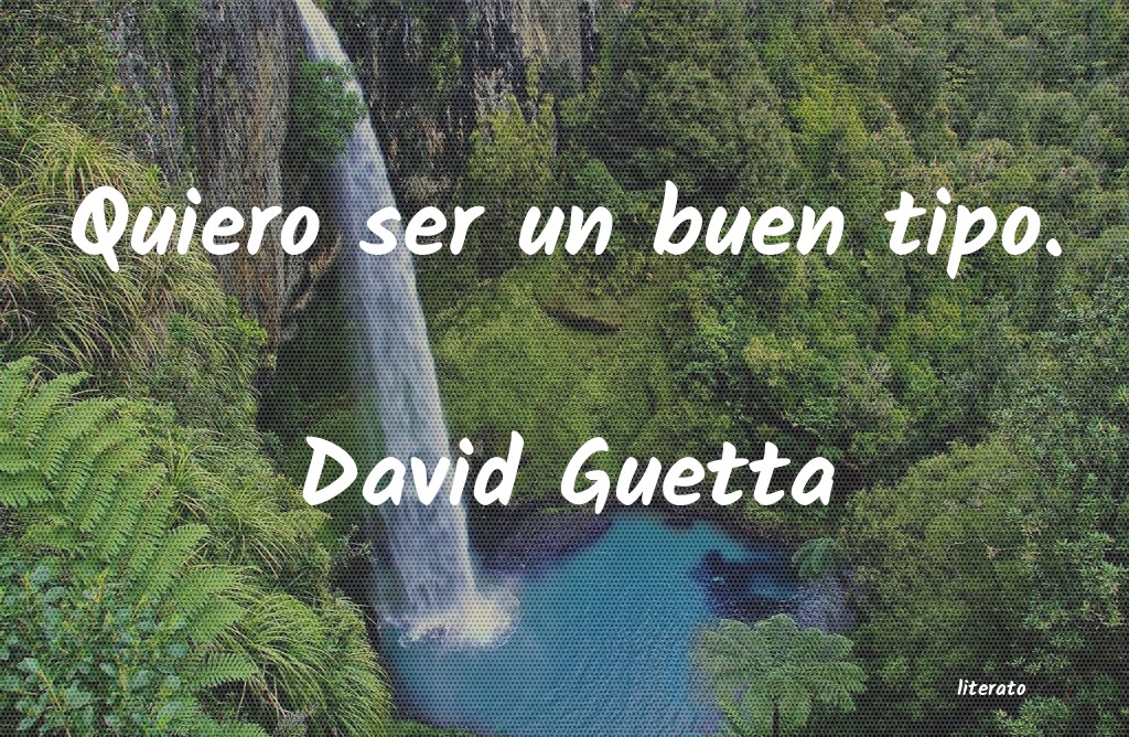 Frases de David Guetta