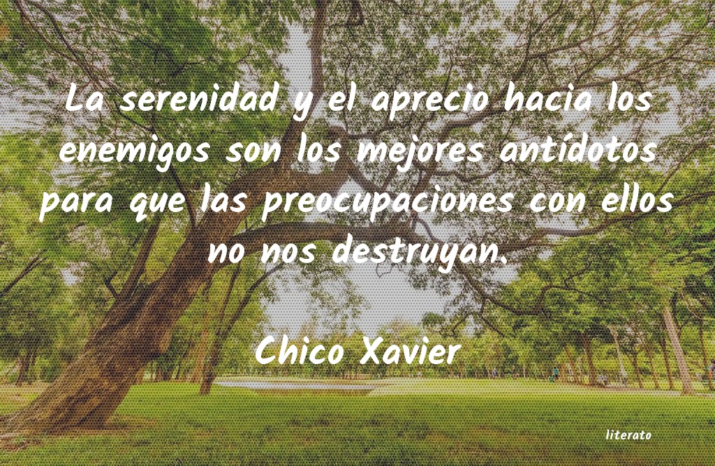 Frases de Chico Xavier