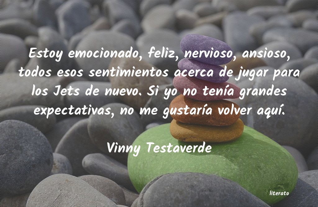 Frases de Vinny Testaverde