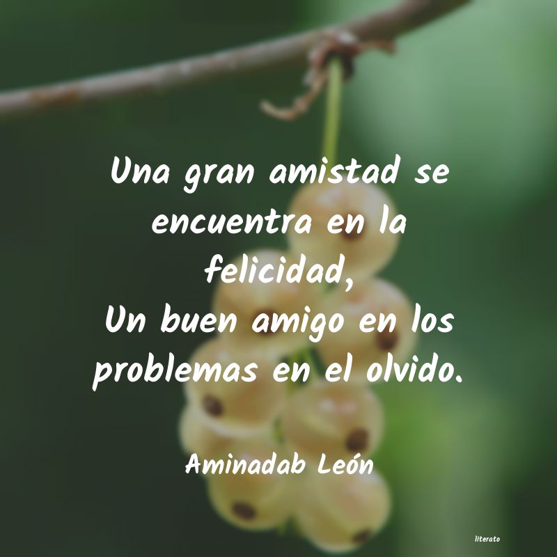 Frases de Aminadab León