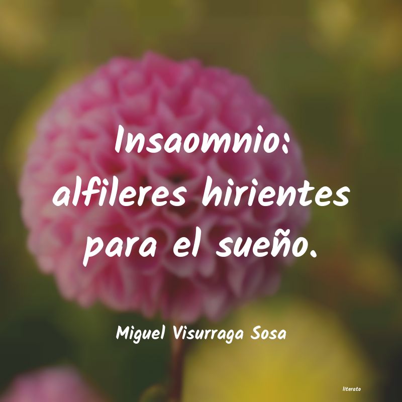frases de Miguel Visurraga Sosa