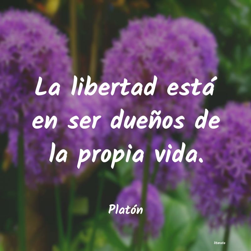 Frases de Platón