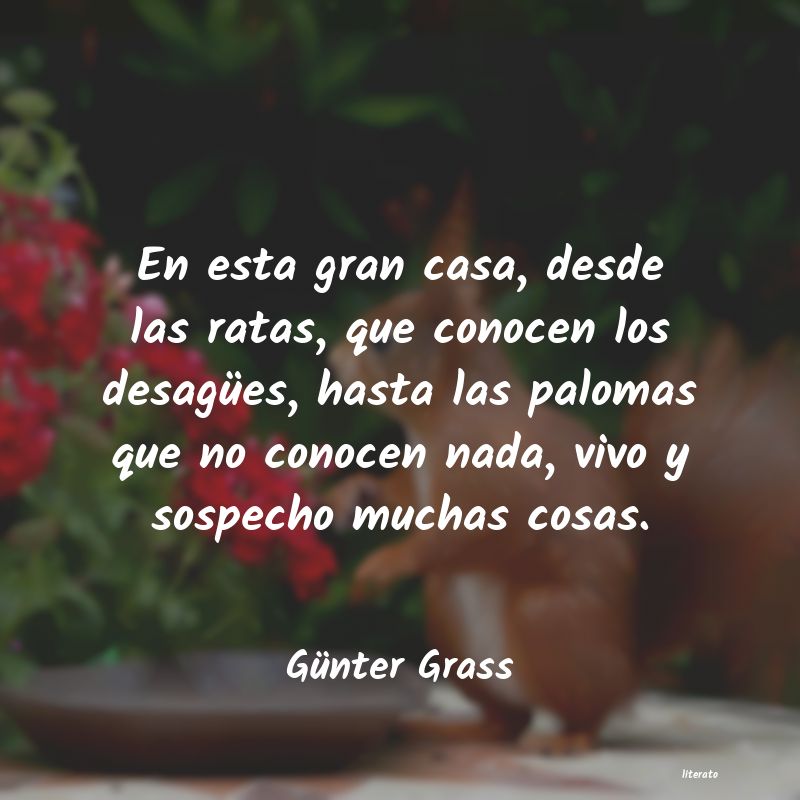 frases de Günter Grass