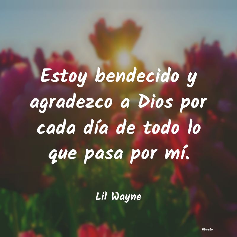 frases de Lil Wayne