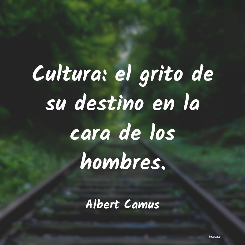 Frases de Albert Camus