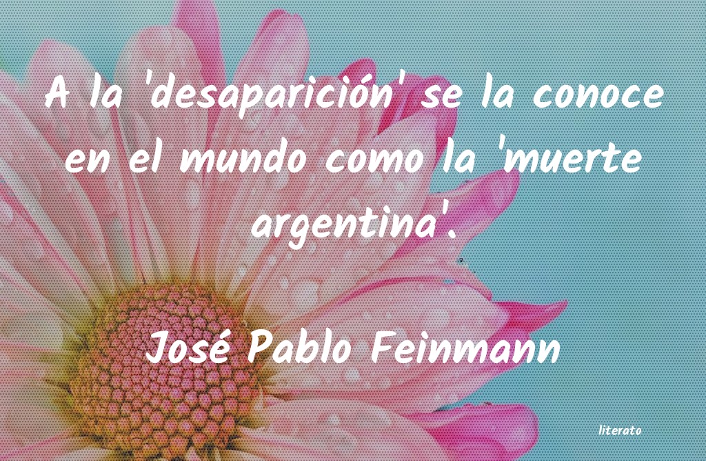 Frases de José Pablo Feinmann