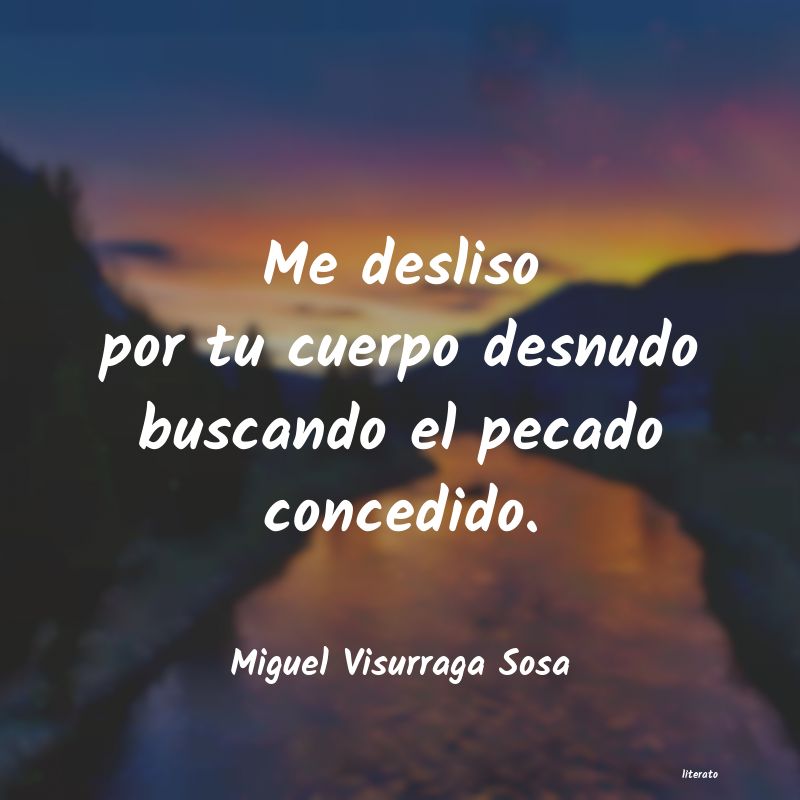 Frases de Miguel Visurraga Sosa