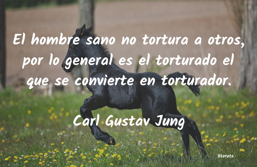 carl jung sentido