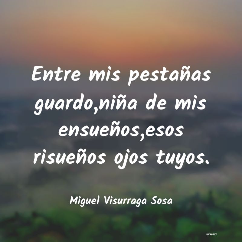 Frases de Miguel Visurraga Sosa