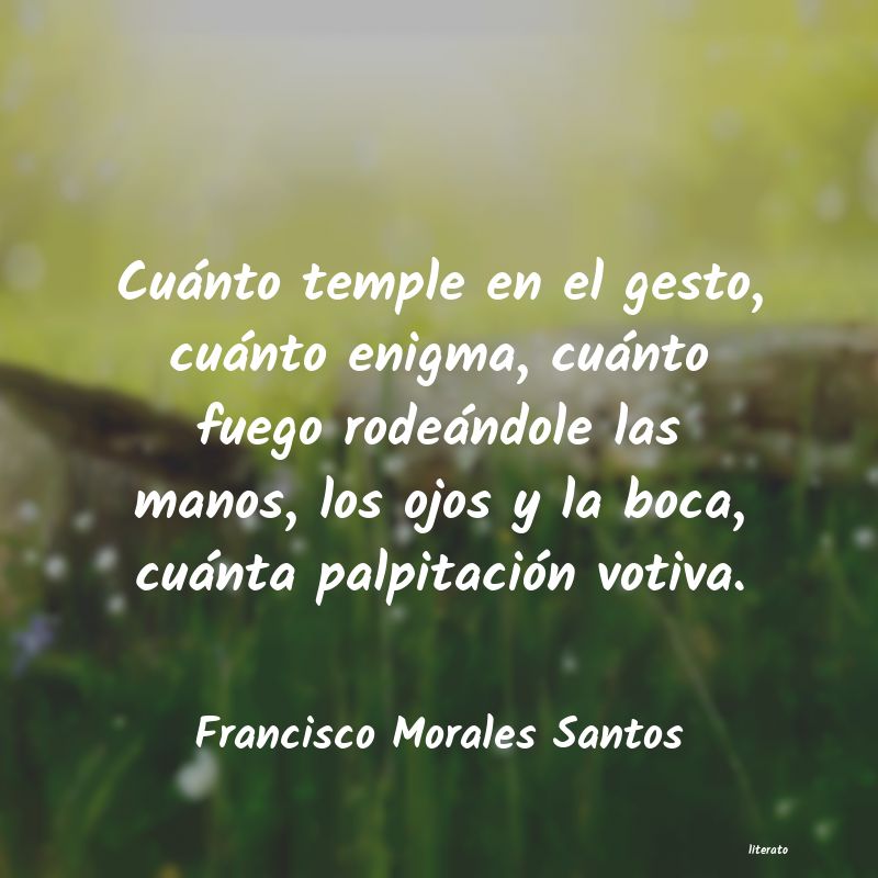 frases de Francisco Morales Santos
