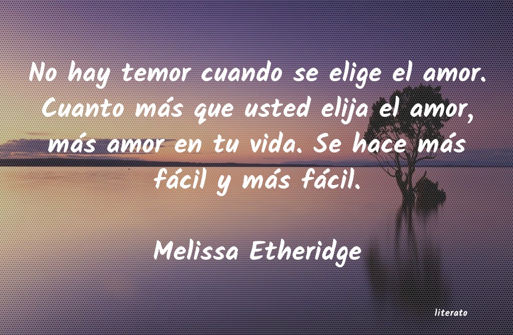 Frases de Melissa Etheridge