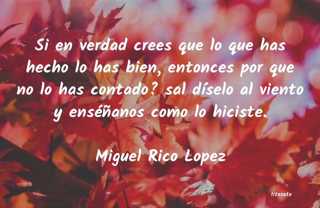 Frases de Miguel Rico Lopez