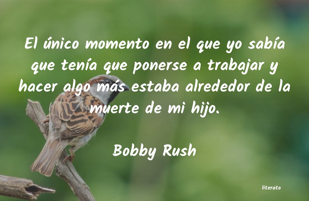Frases de Bobby Rush