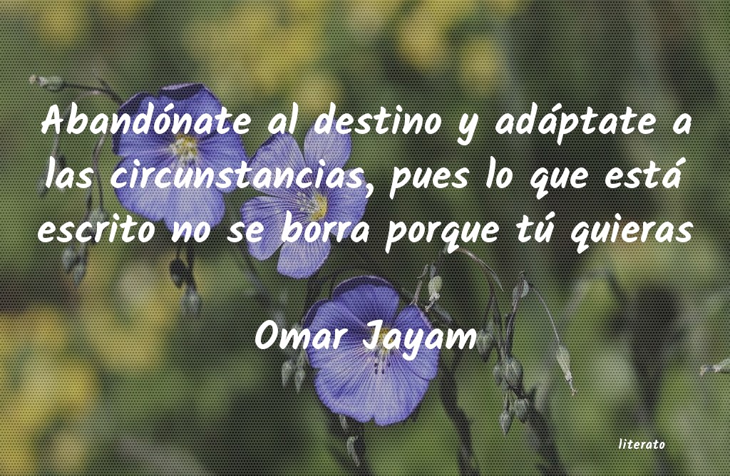 Frases de Omar Jayam