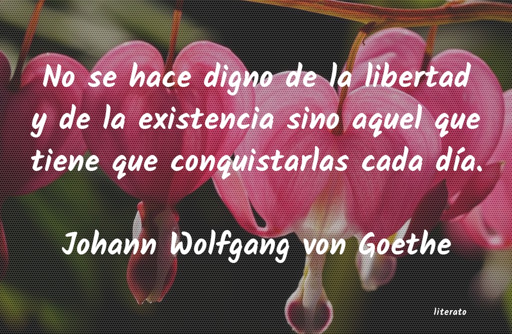 frases de Johann Wolfgang von Goethe
