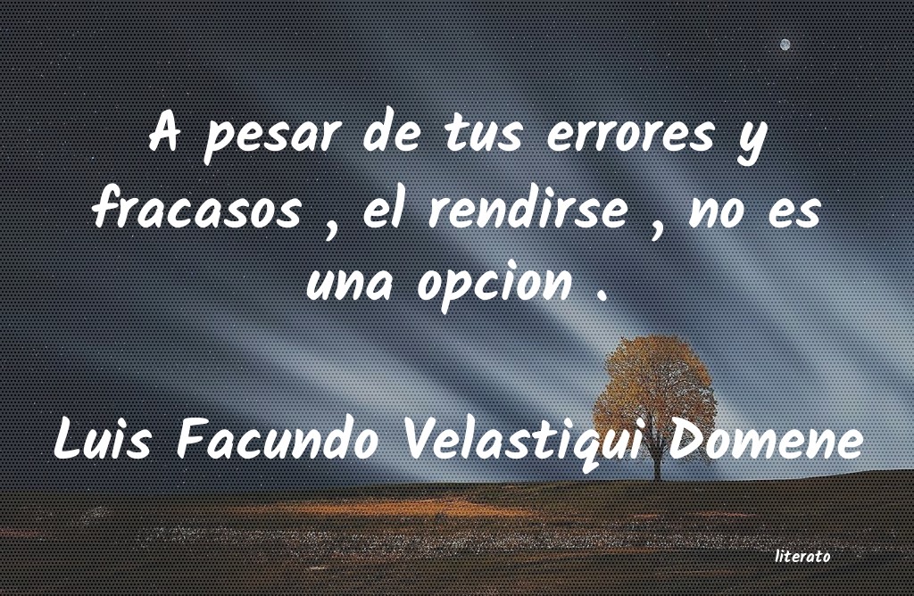 Frases de Luis Facundo Velastiqui Domene