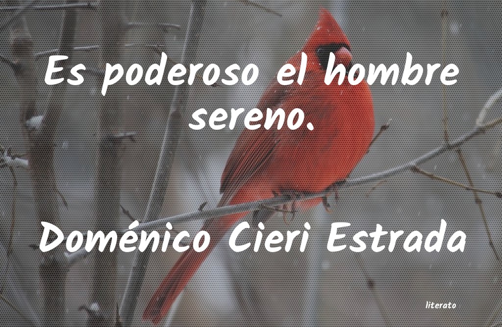 Frases de Doménico Cieri Estrada