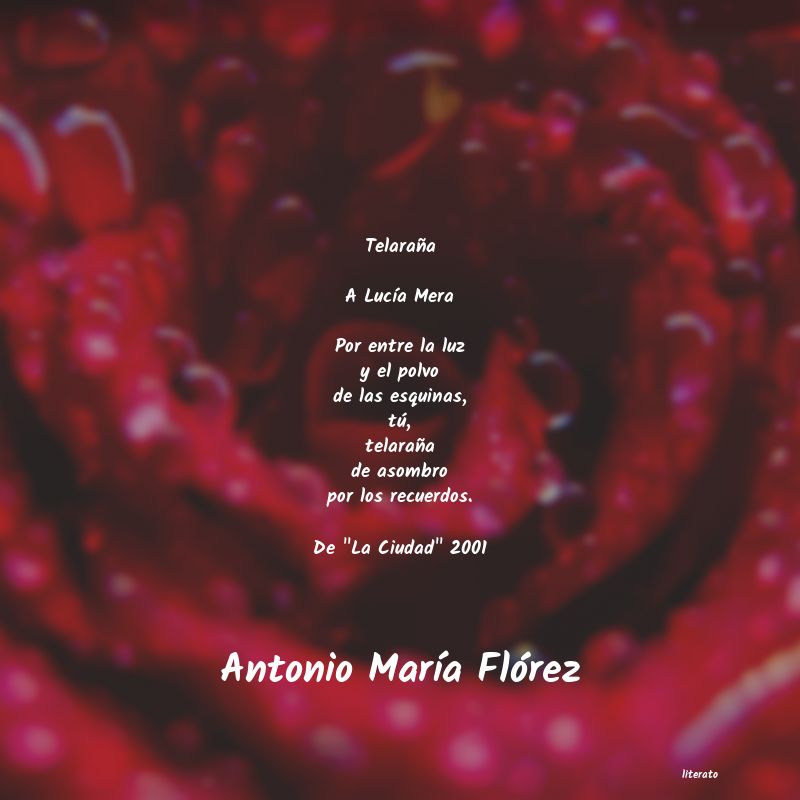 Frases de Antonio María Flórez