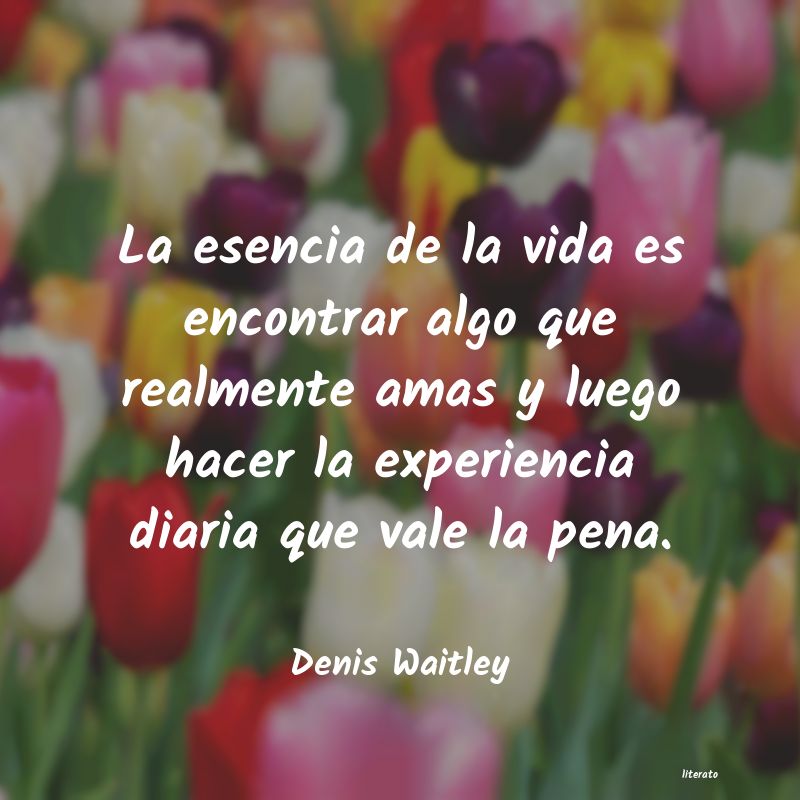 frases de Denis Waitley