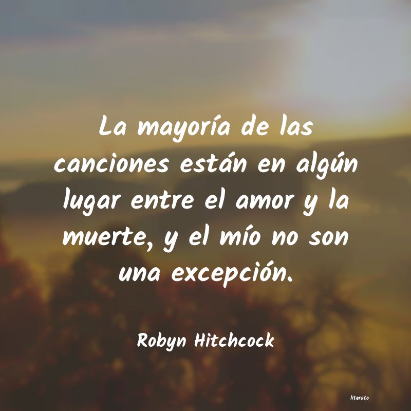 Frases de Robyn Hitchcock